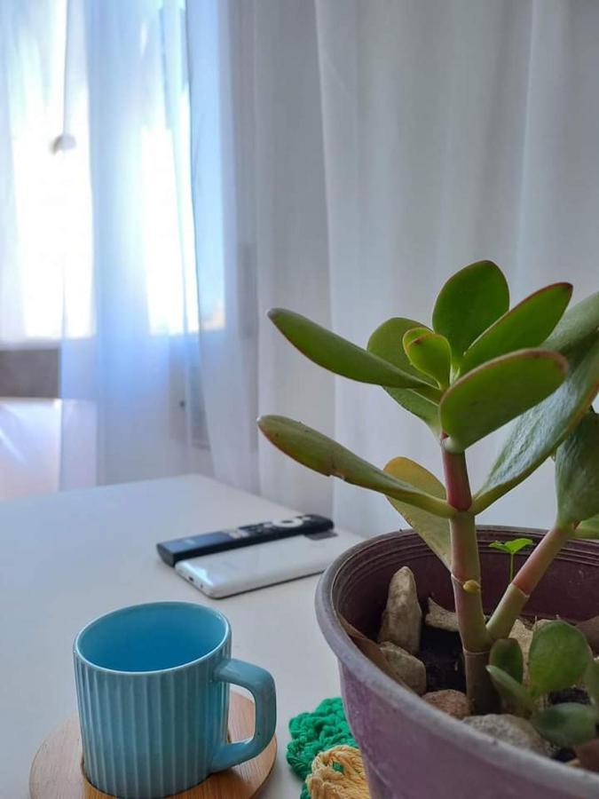Alojamiento En Tigre Buenos Aires Hotel Eksteriør billede